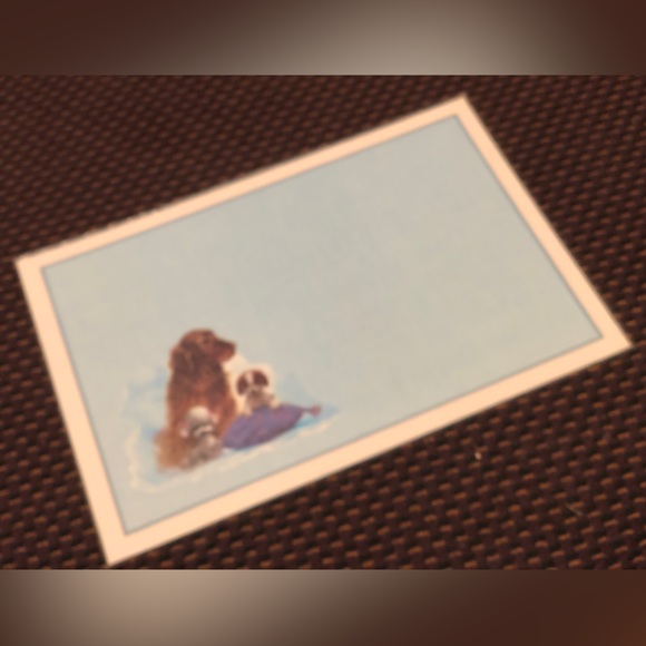 NWT Reversible Pet Bowl Dog food or water Plasticized Floor Placemat! - Picture 4 of 16